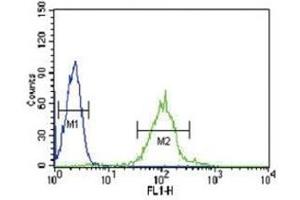 IRF8 antibody flow cytometric analysis of HL-60 cells (green) compared to a negative control (blue).
