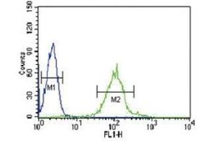 IRF8 antibody flow cytometric analysis of HL-60 cells (green) compared to a negative control (blue). (IRF8 anticorps  (AA 384-409))