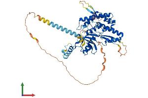 AlphaFold protein structure predicition of Human Recombinant PI4K2A Protein, UniprotID Q9BTU6