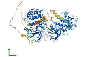 AlphaFold protein structure predicition of Human Recombinant RPS6KA3 Protein, UniprotID P51812