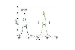CC85C Antibody (N-term) (ABIN654469 and ABIN2844203) flow cytometric analysis of 293 cells (right histogram) compared to a negative control cell (left histogram). (CCDC85C anticorps  (N-Term))