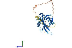 AlphaFold protein structure predicition of Mouse Recombinant Pid1 Protein, UniprotID Q3UBG2