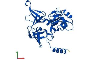AlphaFold protein structure predicition of Human Recombinant RPS4Y2 Protein, UniprotID Q8TD47