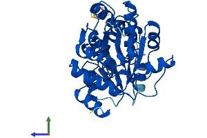 AlphaFold protein structure predicition of Mouse Recombinant Sdsl Protein, UniprotID Q8R238