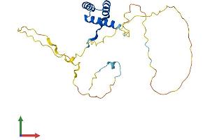 AlphaFold protein structure predicition of Human Recombinant NKX2-8 Protein, UniprotID O15522