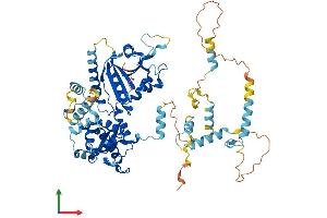 AlphaFold protein structure predicition of Mouse Recombinant Ecd Protein, UniprotID Q9CS74
