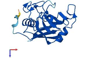 AlphaFold protein structure predicition of Human Recombinant PPIL1 Protein, UniprotID Q9Y3C6