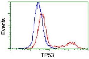 Flow Cytometry (FACS) image for anti-Tumor Protein P53 (TP53) antibody (ABIN1499976) (p53 anticorps)