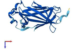 AlphaFold protein structure predicition of Mouse Recombinant Cnrip1 Protein, UniprotID Q5M8N0