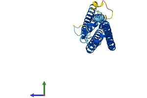 AlphaFold protein structure predicition of Human Recombinant TSPAN6 Protein, UniprotID O43657