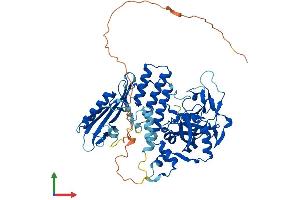 AlphaFold protein structure predicition of Mouse Recombinant Parp2 Protein, UniprotID O88554