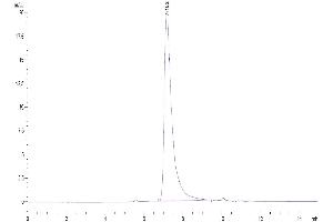 The purity of Human MSLN/Mesothelin was greater than 95 % as determined by SEC-HPLC.