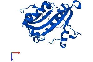 AlphaFold protein structure predicition of Mouse Recombinant Gnpnat1 Protein, UniprotID Q9JK38