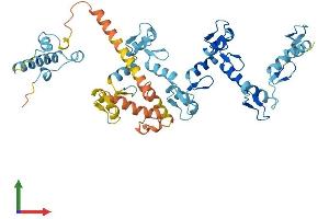 AlphaFold protein structure predicition of Human Recombinant ZNF383 Protein, UniprotID Q8NA42