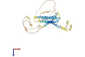 AlphaFold protein structure predicition of Human Recombinant TMEM79 Protein, UniprotID Q9BSE2