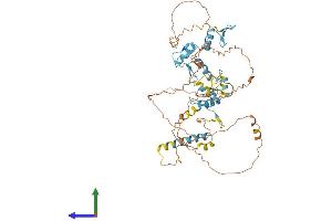 AlphaFold protein structure predicition of Mouse Recombinant Ikzf2 Protein, UniprotID P81183