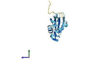AlphaFold protein structure predicition of Mouse Recombinant Rpp14 Protein, UniprotID Q9CQH8