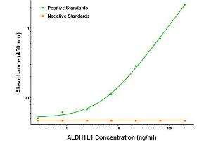 ELISA image for anti-Aldehyde Dehydrogenase 1 Family, Member L1 (ALDH1L1) antibody (ABIN2715906) (ALDH1L1 anticorps)