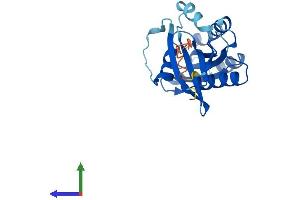 AlphaFold protein structure predicition of Mouse Recombinant Rab39b Protein, UniprotID Q8BHC1