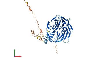 AlphaFold protein structure predicition of Human Recombinant DDB2 Protein, UniprotID Q92466