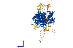 AlphaFold protein structure predicition of Human Recombinant CDADC1 Protein, UniprotID Q9BWV3