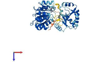 AlphaFold protein structure predicition of Human Recombinant EIF4A2 Protein, UniprotID Q14240