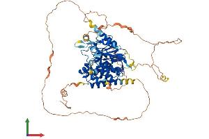 AlphaFold protein structure predicition of Mouse Recombinant Mtmr14 Protein, UniprotID Q8VEL2