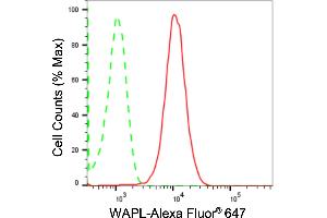 Flow cytometric analysis of WAPL expression in HepG2 cells using WAPL antibody (ABIN7800865), 1:2,000). (Recombinant WAPAL anticorps)