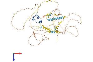 AlphaFold protein structure predicition of Human Recombinant DMRT2 Protein, UniprotID Q9Y5R5