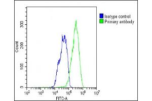 Overlay histogram showing HepG2 cells stained with (ABIN387939 and ABIN2844487)(green line).
