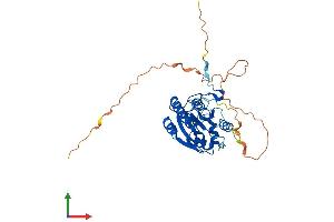 AlphaFold protein structure predicition of Mouse Recombinant Babam1 Protein, UniprotID Q3UI43