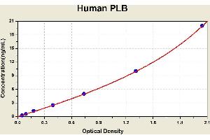 Diagramm of the ELISA kit to detect Human PLBwith the optical density on the x-axis and the concentration on the y-axis. (Phospholipase B Kit ELISA)