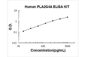 Phospholipase A2, Group IVA (Cytosolic, Calcium-Dependent) (PLA2G4A) ELISA Kit