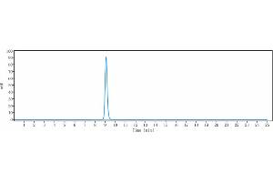 anti-Tetraspanin 26 (TSPAN26) antibody