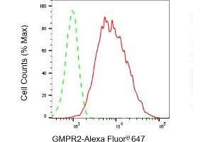 Flow cytometric analysis of GMPR2 expression in HT- cells using GMPR2 antibody (ABIN7798823), 1:2,000).