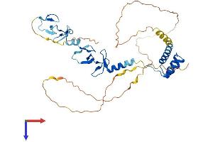 AlphaFold protein structure predicition of Human Recombinant LHX3 Protein, UniprotID Q9UBR4