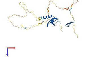 AlphaFold protein structure predicition of Human Recombinant CBX7 Protein, UniprotID O95931