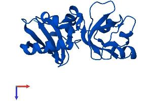 AlphaFold protein structure predicition of Human Recombinant MCTS1 Protein, UniprotID Q9ULC4