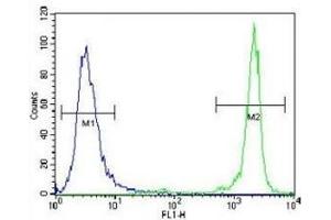 GDF15 antibody flow cytometric analysis of NCI-H460 cells (green) compared to a negative control (blue).