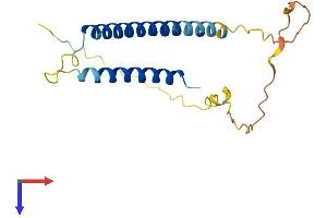 AlphaFold protein structure predicition of Mouse Recombinant Bap18 Protein, UniprotID Q9DCT6
