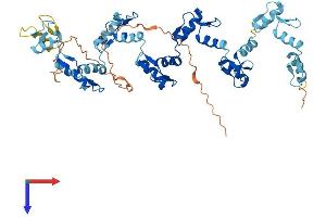 AlphaFold protein structure predicition of Human Recombinant ZNF83 Protein, UniprotID P51522