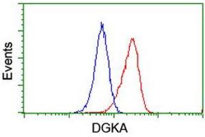 Flow cytometric Analysis of Jurkat cells, using anti-DGKA antibody (ABIN2455395), (Red), compared to a nonspecific negative control antibody, (Blue). (DGKA anticorps)