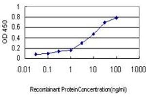 Detection limit for recombinant GST tagged MAGEA8 is approximately 0.
