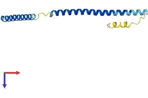 AlphaFold protein structure predicition of Mouse Recombinant Ska2 Protein, UniprotID Q9CR46