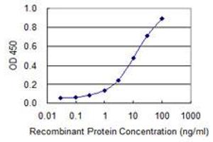 Detection limit for recombinant GST tagged OSBPL8 is 0.