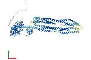 AlphaFold protein structure predicition of Mouse Recombinant Actn3 Protein, UniprotID O88990