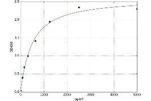 La Ribonucleoprotein Domain Family, Member 7 (LARP7) ELISA Kit
