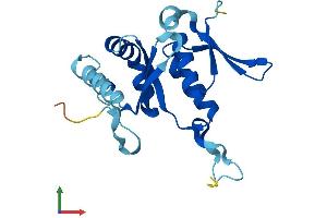 AlphaFold protein structure predicition of Human Recombinant RPS7 Protein, UniprotID P62081