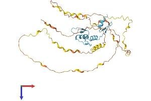 AlphaFold protein structure predicition of Mouse Recombinant Klf2 Protein, UniprotID Q60843