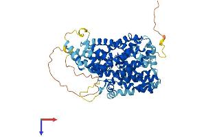AlphaFold protein structure predicition of Mouse Recombinant Slc13a2 Protein, UniprotID Q9ES88